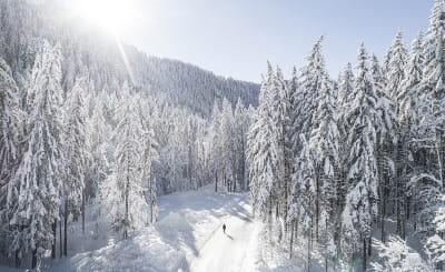 Ski de fond au Grand-Bornand : itinéraires et séjours à l’Auberge Nordique